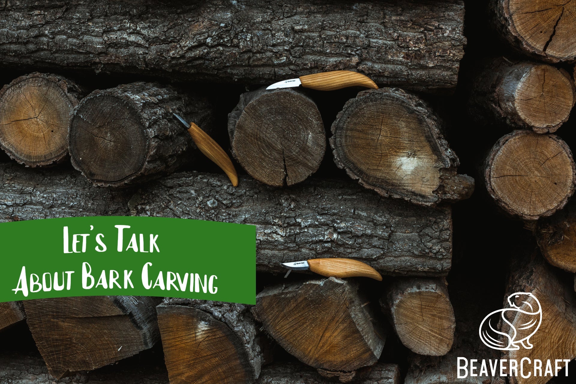 Rindenschnitzen: Die Schönheit der Baumrinde entfesseln – BeaverCraft Tools, image size:1920x1280