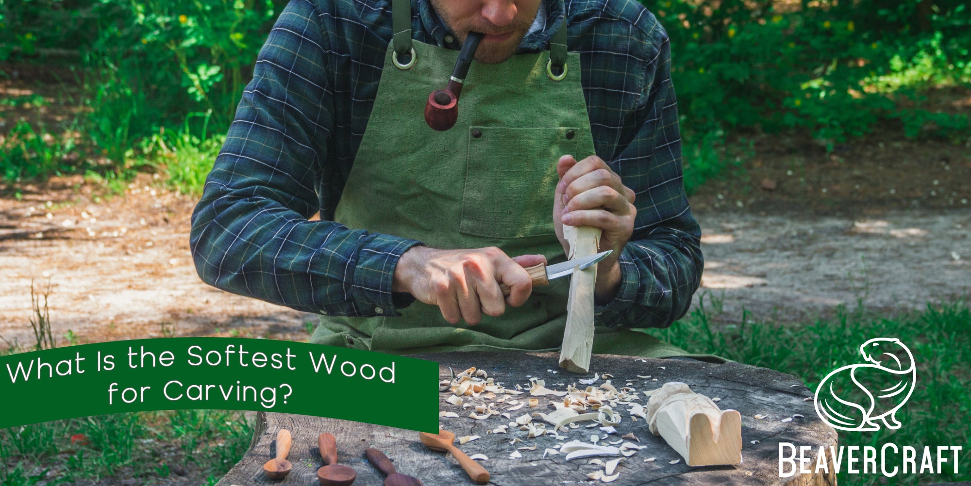 What Is the Softest Wood Type for Carving? BeaverCraft Tools