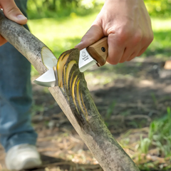 Couteau Bushcraft en acier au carbone Manche en noyer avec étui en cuir – BSH2 Glacier