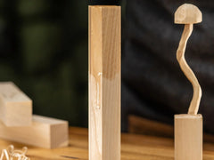 Set of Elm Carving Blocks for Wood Carving – 10 pcs – BW10 Elm