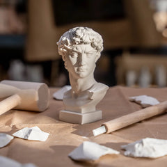 David Sculpting Kit – Complete Starter Plaster Carving Kit – DIY_Sculpting_David