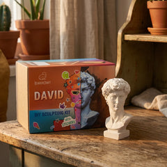 David Sculpting Kit – Complete Starter Plaster Carving Kit – DIY_Sculpting_David