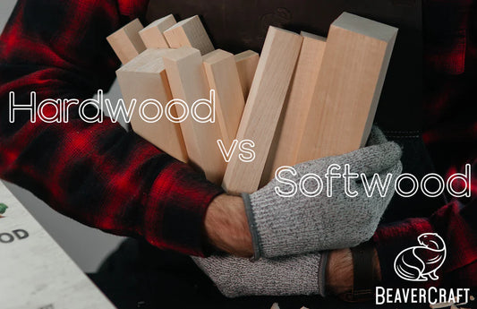 Hardwood vs. Softwood | BC Series #8