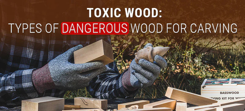 Toxic Wood: Types of Dangerous Wood for Carving