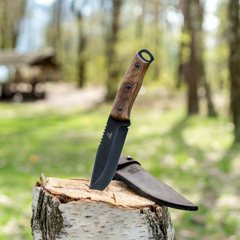 The BSH4 bushcraft knife stuck in a birch stump, its leather sheath beside it