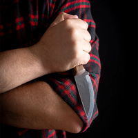 Cuchillo Bushcraft de Acero al Carbono con Mango de Nogal y Funda de Cuero - BSH7 Wild Harvest