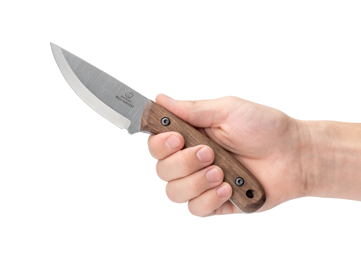 BSH7 Wild Harvest – Carbon Steel Bushcraft Knife Walnut Handle