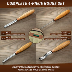 Gouge Wood Carving Tools Set - SC01