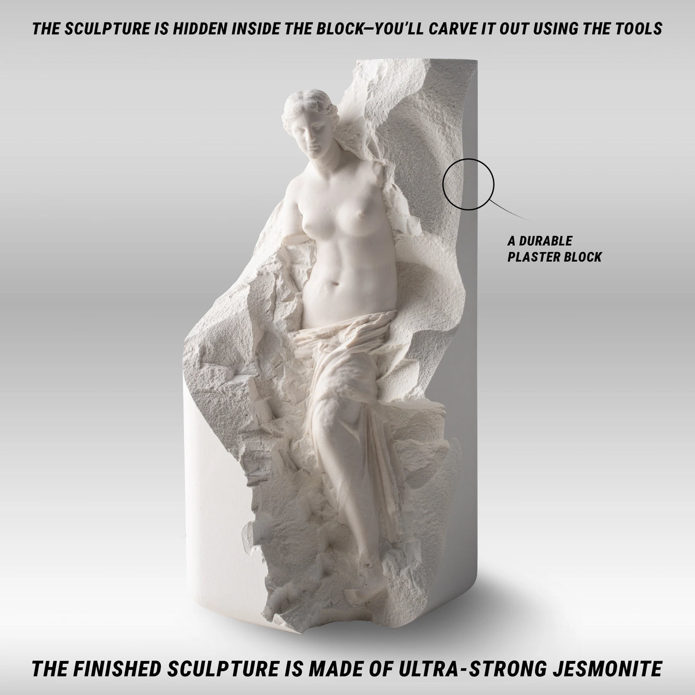Venus de Milo Sculpting Kit – Complete Starter Plaster Carving Kit