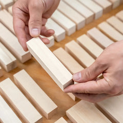 Set of Basswood Carving Blocks for Wood Carving – 10 pcs – BW10